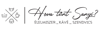 Hova tűnt Sanyi?
